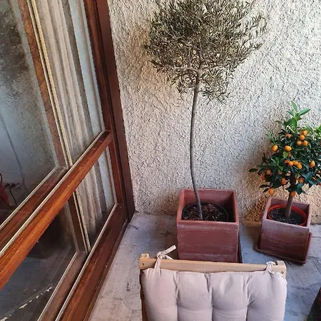 Le Vallis Curans * Сен-Рафаэль